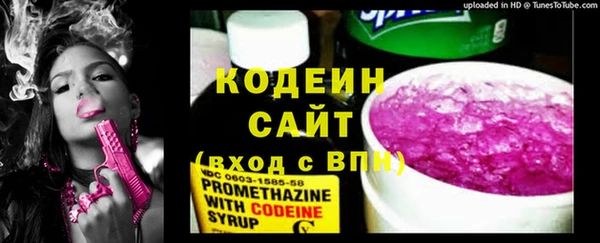 гашик Алзамай