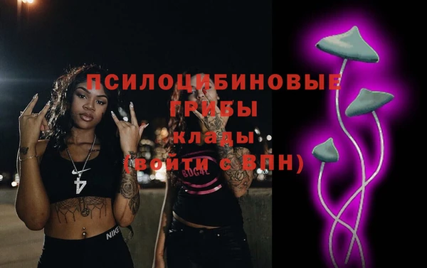 гашик Алзамай