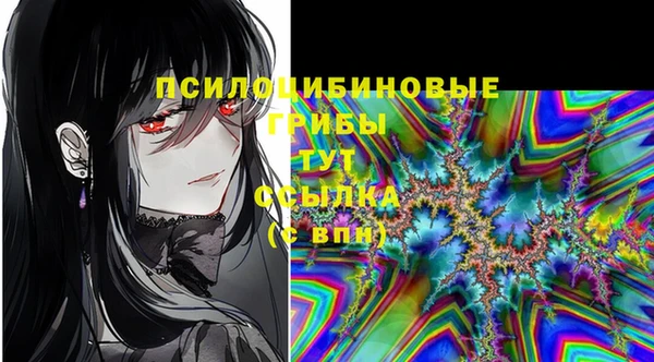 гашик Алзамай