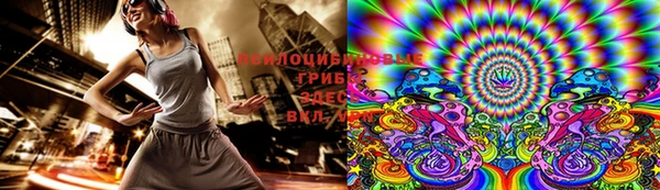 гашик Алзамай