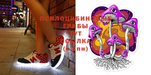 гашик Алзамай