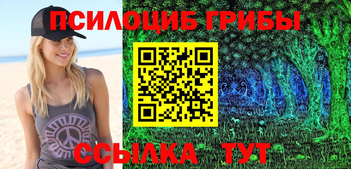 Псилоцибиновые грибы Cubensis  Вход с VPN  Псилоцибиновые грибы Psilocybe  Тейково 